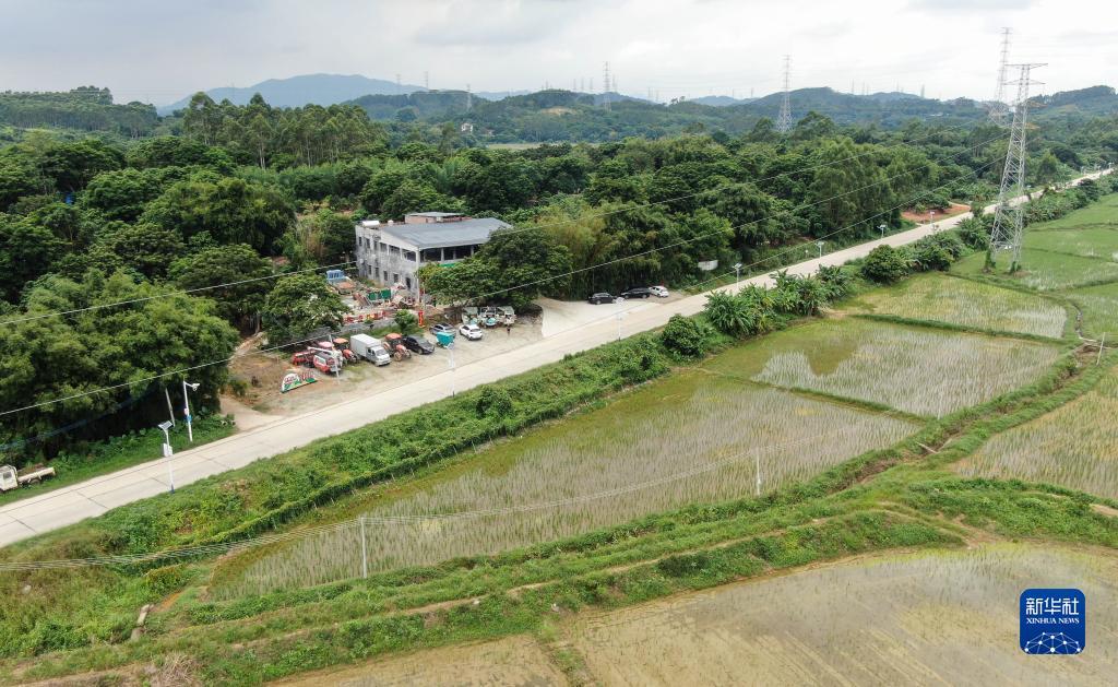 金沙爱酱53度